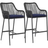 Rattan Counter Height Bar Stools Set