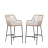 Rattan Counter Height Bar Stools Set