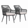 JOIVI Outdoor Dining Chairs Set of 2, Wicker Patio Chairs with Metal Frame, Rattan Indoor-Outdoor Chairs with Armrest and Seat Cushions